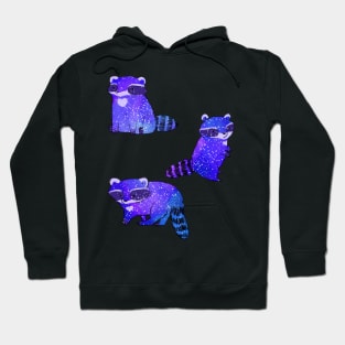 Space raccoons Hoodie